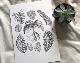 Illustrated plant leaves print