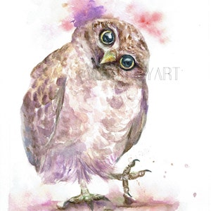 Whaat? Owl Watercolor Bird Art Prints