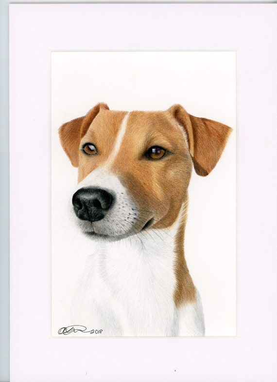 Jack Russell Pet Portrait 9x6 Mounted Dog Drawing Etsy