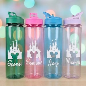 Disney Themed Water Bottles. Personalised. Surprise Trip Gift. Disneyland. Disney World. Disney Castle. Disney Surprise Matching