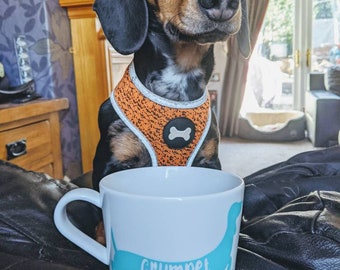 Personalised Sausage Dog Mug. Gift for Dachshund Owner