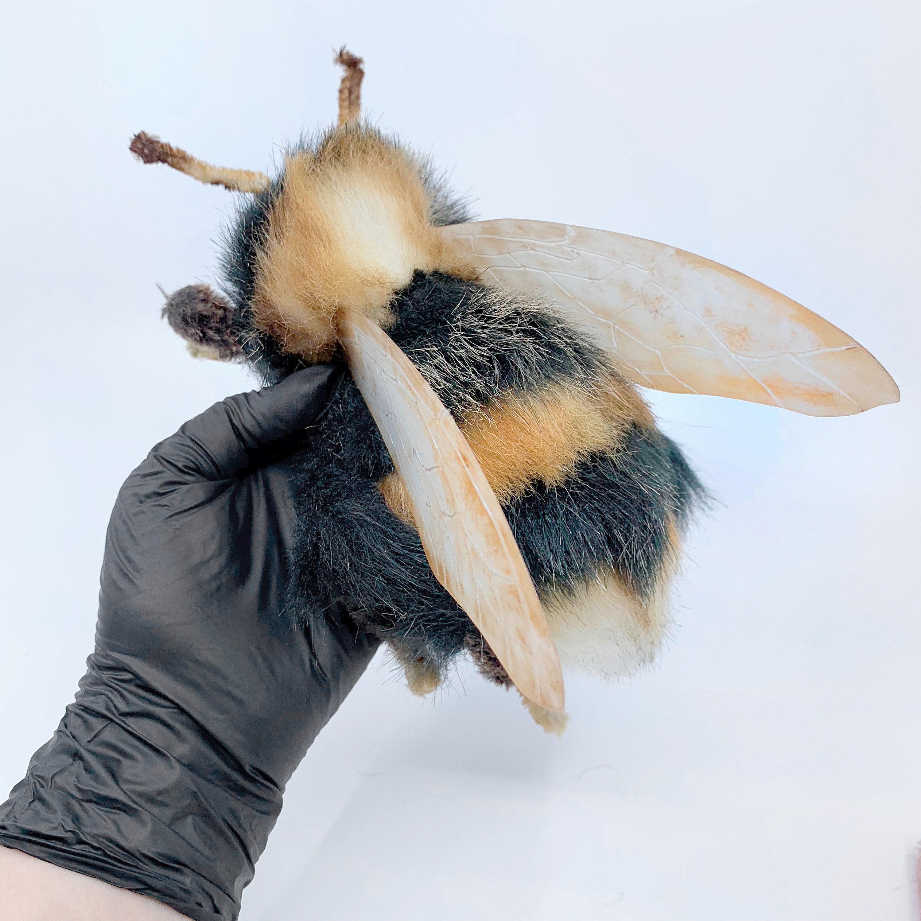 insect soft toys