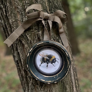Framed Bumblebee Watercolor Painting: Original Insect Art with Ribbon