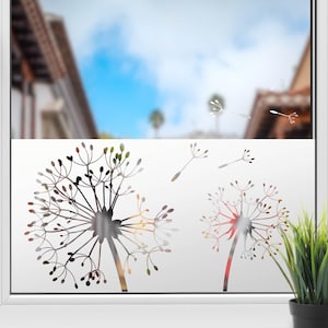 Frosted glass foil Dandelion Dandelion Window pane Glass décor Privacy film Sandblasting effect