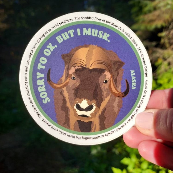 Graphic Musk Ox Sticker - Arctic Animal - Sorry to OX - Educational Graphic Vinyl Art Alaskan Musk Ox Sticker