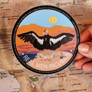 Condor Bird Sticker, Real Men Incubate Vinyl Sticker for California Condor
