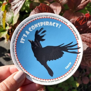Graphic Bird Sticker - Raven - Its a Conspiracy Raven Educational Graphic Vinyl Art Alaska Sticker
