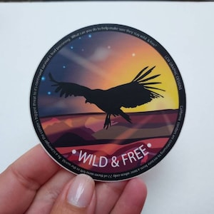 Condor Bird Sticker, Wild & Free Vinyl Sticker for California Condor