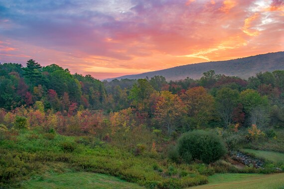 Sunrise Over Forest - Etsy