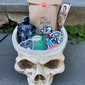 Spooky Themed BLIND DATE with a BOOK, Vintage Books, Christmas Gift, Halloween, Mystery/Thriller, Young Adult, Beverage, Treat Bag, Surprise