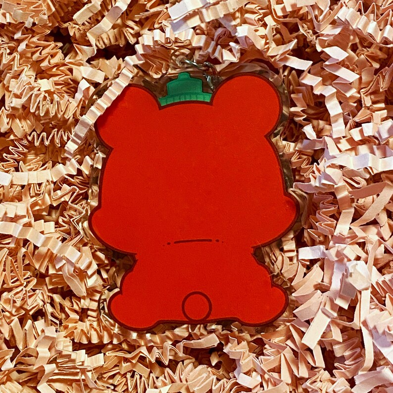 Pode incluir: Encanto de urso de desenho animado vermelho com um chap&eacute;u verde. O urso &eacute; feito de acr&iacute;lico transparente e tem um verso plano.