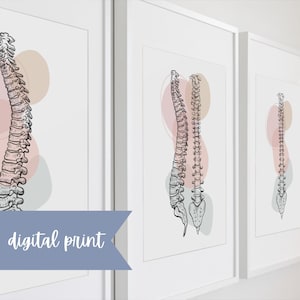 Digital Print! Spine prints, chiropractor, chiropractic, chiropractic wall art, chiropractic gifts, chiro gift, chiropractor gift, chiro