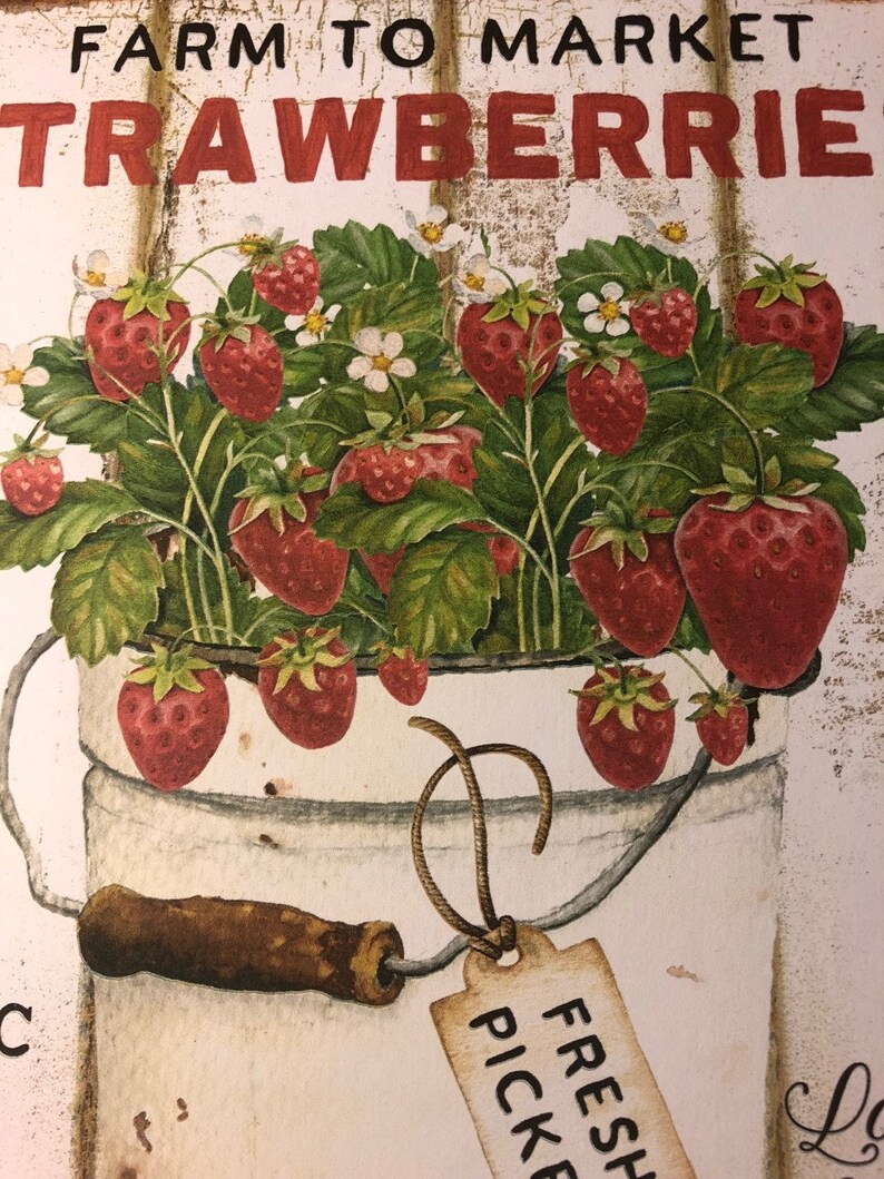 Może przedstawiać: Biały znak z tekstem "Farm to Market Strawberries" w czarnych i czerwonych literach. Białe wiadro z brązowym uchwytem i etykietą z napisem "Fresh Picked" jest wypełnione czerwonymi truskawkami i zielonymi liśćmi.