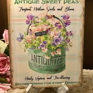Farmhouse, Antique Sweet Peas, Seed, Shabby Chic HANDCRAFTED Plaque / Sign 8x10