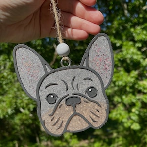 Blue & Tan French Bulldog Freshie