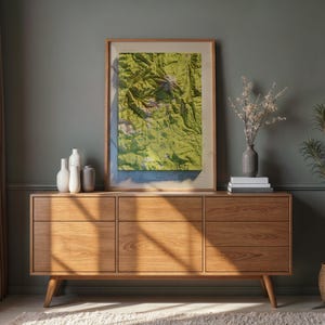 May include: A wooden mid-century modern style dresser with six drawers. A framed topographical map hangs above the dresser. Decorative vases and books are on the dresser. A potted plant and a vase with flowers are on the right.