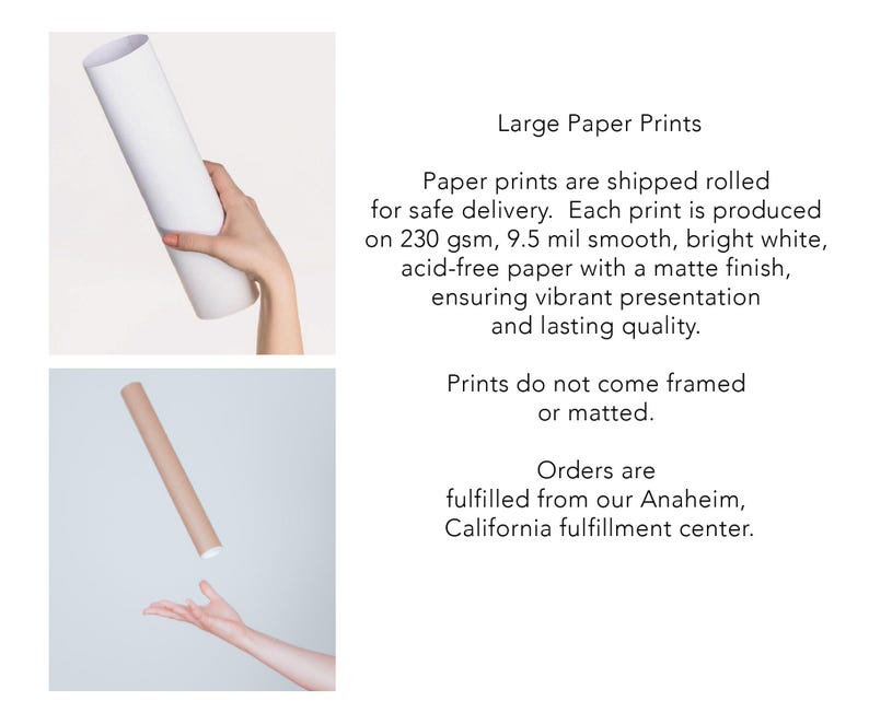a hand holding a roll of white paper