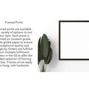 a picture frame sitting on top of a wall next to a plant