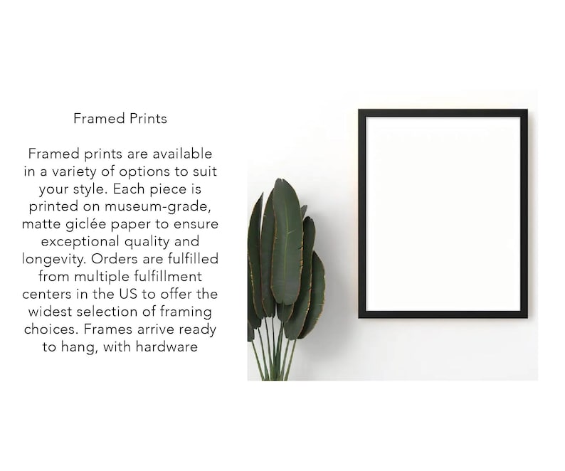 a picture frame sitting on top of a wall next to a plant