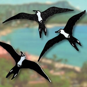 Iwa Bird/ Frigate Bird Patch | Iron on Patches