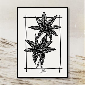 Ki Leaf Art Print | Black and White Ti Leaf Drawing | Minimal Hawaiian Botanical Line Art