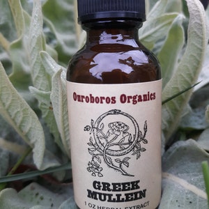 Mullein Tincture