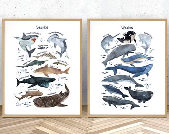 Set of 2 whales and sharks watercolor effect prints, ocean theme nursery, sea life prints