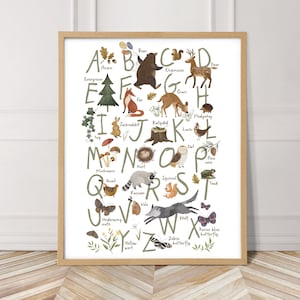 Alphabet der Waldtiere mit Aquarelldetails, perfekt für ein Waldland-Kinderzimmer