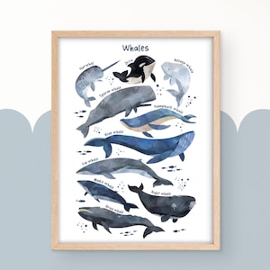 Whale watercolor effect print, ocean theme nursery, sea life print