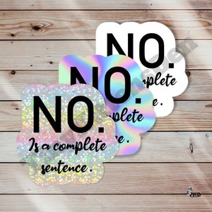 No means No Vinyl Sticker Indoor Outdoor, Weather Resistant, Scratch Resistant, Sarcastic, Snarky, Rude, Human Rights, Gen X, Millennial