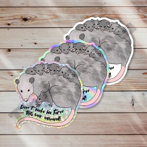 Lustiger Opossum-Vinyl-Aufkleber für drinnen und draußen, wetterbeständig, kratzfest, lustig, grob, unhöflich, schwarzer Humor, Gen X, Millennial