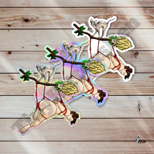 Witchy Shibari Vinyl Sticker Indoor Outdoor, Weather Resistant, Scratch Resistant, Submissive, Fetish, Bondage, Kinky, Suspension, Broom Cat