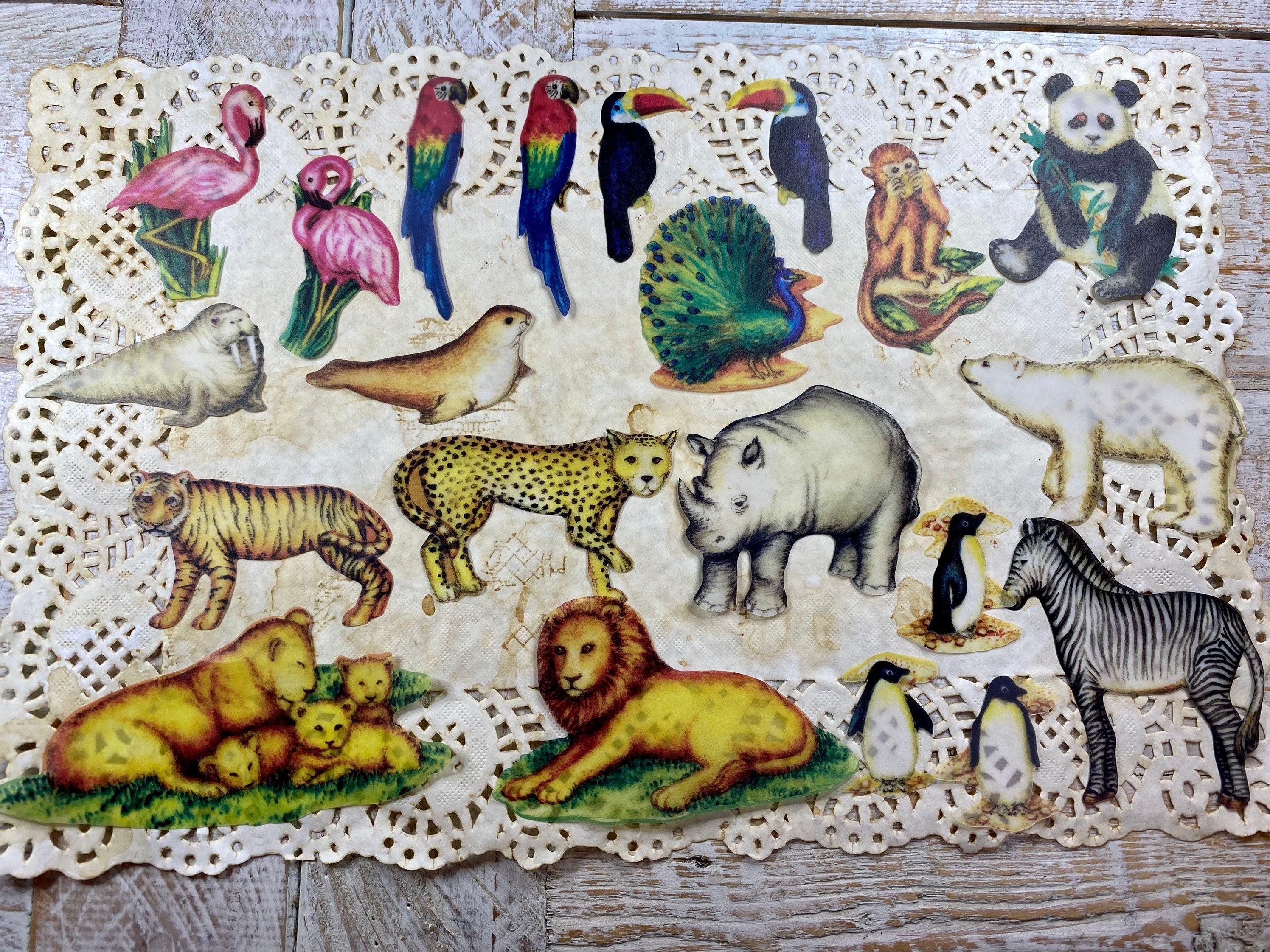 21 Pcs Vintage Vellum Wild Animal and Wild Bird Die Cuts Etsy Australia