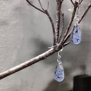 Myosotis sylvatica Resin flower earrings,Real flower earrings,resin floral earring,dried flowers earrings,real flower,pressed flower jewelry