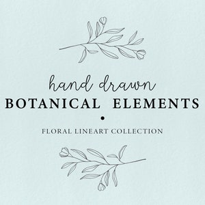 Modern floral illustrations - doodle leaves clipart, floral elements, doodle botanical elements, hand drawn leaves, botanical graphics