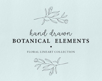Moderna blommiga illustrationer - doodle löv clipart, blommiga element, doodle botaniska element, handritade löv, botanisk grafik