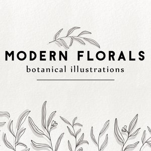 Modern floral illustrations - doodle leaves clipart, floral elements, doodle botanical elements, hand drawn leaves, botanical graphics