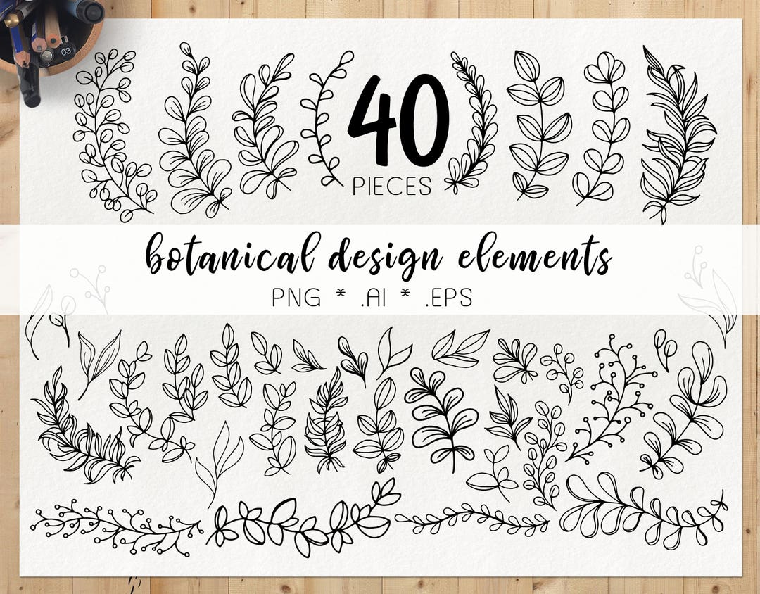 Hand Drawn Floral Elements Doodle Leaves Clipart Floral - Etsy