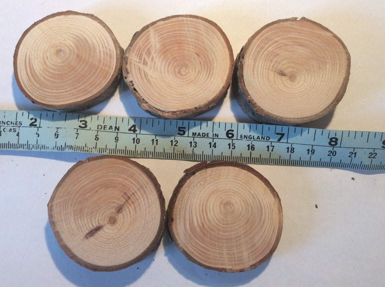 5 Slice of live edge wooden discs use for crafts and other Etsy