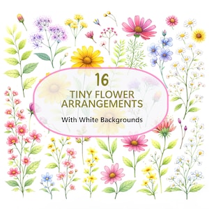 以下が含まれることがあります： 白い背景に16個の小さな花の配置を描いた水彩イラスト。花はピンク、黄色、紫、青など様々な色があります。画像には「16 Tiny Flower Arrangements With White Backgrounds」というテキストが含まれています。