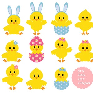 Lindo clipart de pollo, pollito de Pascua SVG, PNG, archivo cortado. Uso personal y comercial