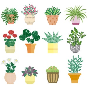 Op de afbeelding: Een verzameling van 12 potplanten in verschillende stijlen en kleuren, waaronder een roze bloeiende plant, een groene succulent en een groene varen.