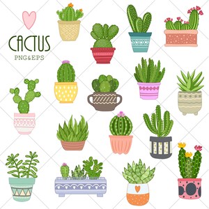 Könnte beinhalten: Eine Sammlung von 15 bunten Kaktus-Illustrationen in verschiedenen Töpfen. Die Kakteen haben unterschiedliche Formen und Größen, einige haben Blüten. Die Illustrationen sind perfekt, um jedem Projekt einen Hauch von Verspieltheit zu verleihen.