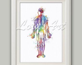 Nervi Del Corpo Umano Etsy