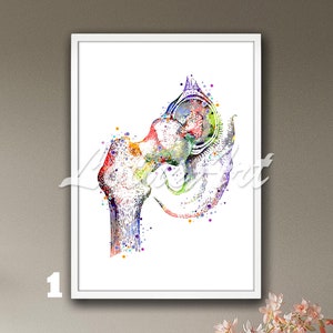 Hip Joint Watercolor Anatomy Print: Medical Art, Doctor Gift