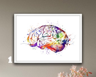 Brain Anatomy Wall Art Framed Watercolor Print Human Anatomy Clinic Decor Anatomical Paintings Medical Science Illustration Surgeon Gifts