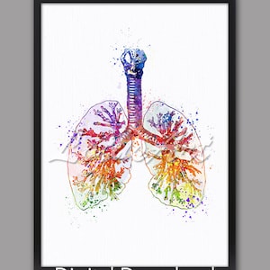 Lungs Watercolor Anatomy Art Print: Medical Poster (Digital Download)
