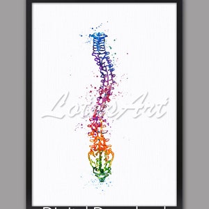Scoliosis Spine Watercolor Art Print: Anatomy Poster (Digital Download)