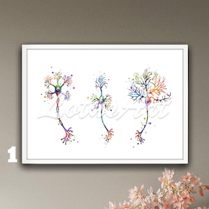 Watercolor Neuron Anatomy Art Print: Neurology Gift, Medical Science