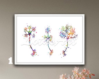Neuron Anatomy Art Watercolor Neuron Cell Artwork Neurology Art ...